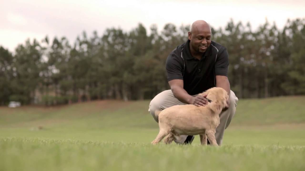 I Stand Behind Beneful® Dog Food   Cliff   Purina® Beneful®