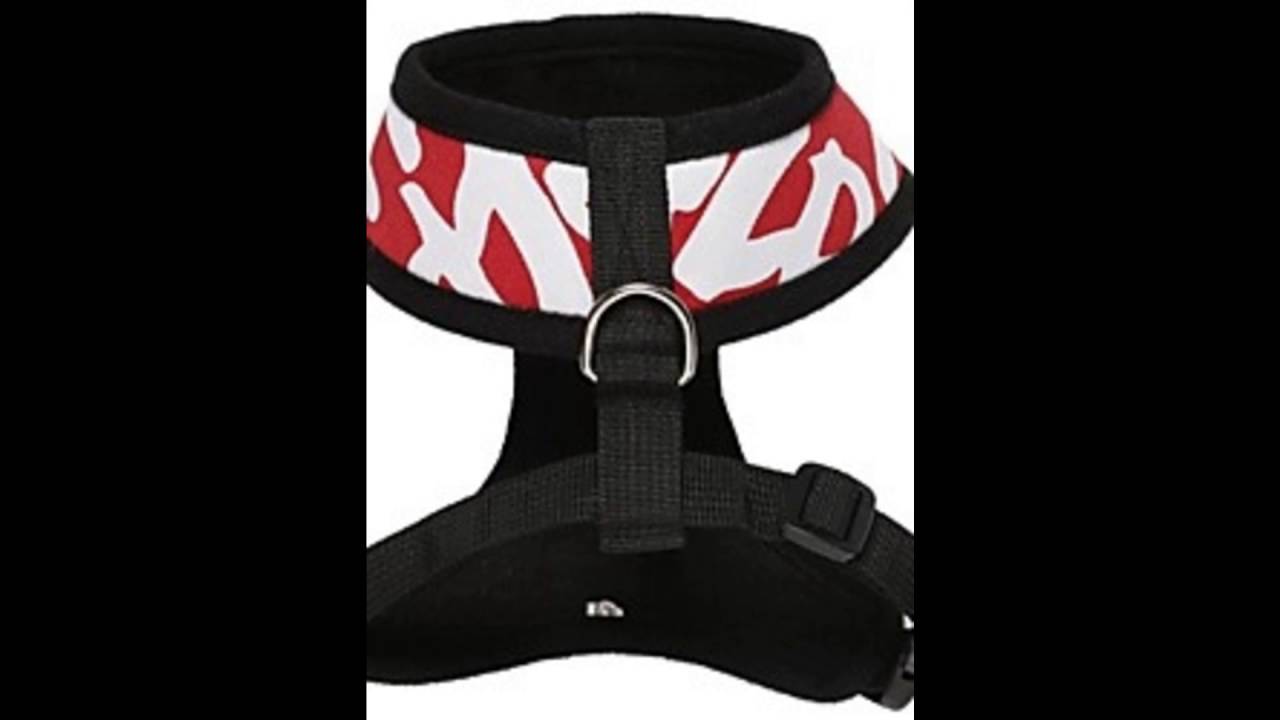 Lightinthebox dog clothes 1