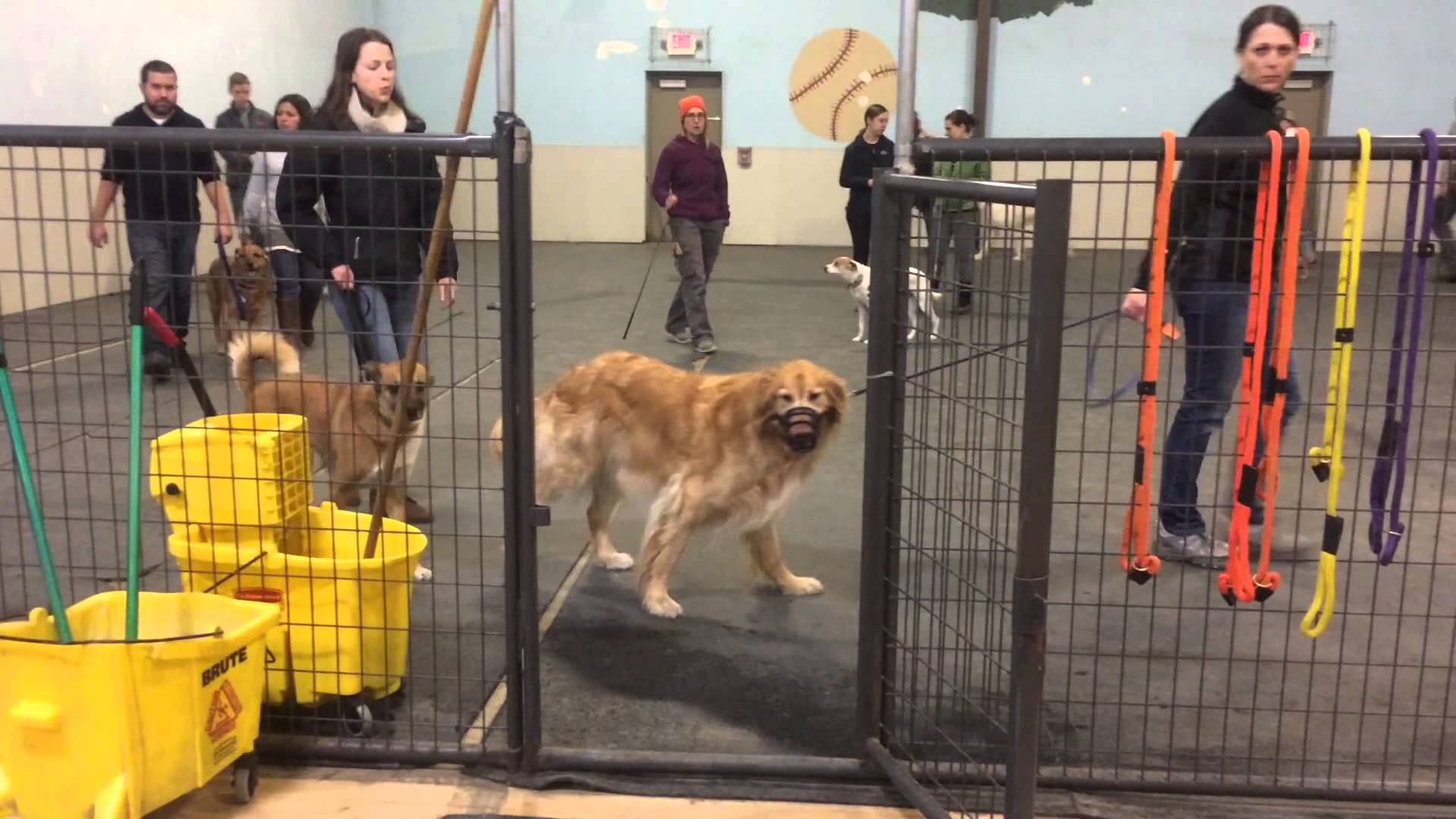 Lord’s First Social & Big Dog Social