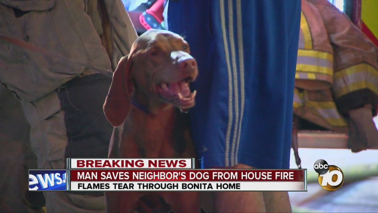 Man saves neighbors and dog from house fire