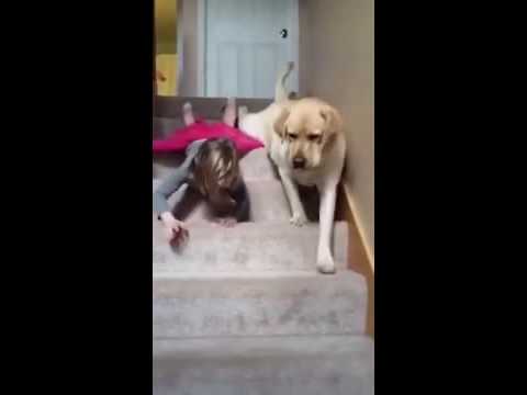 Master slide down and small dogs are also deliberately can she