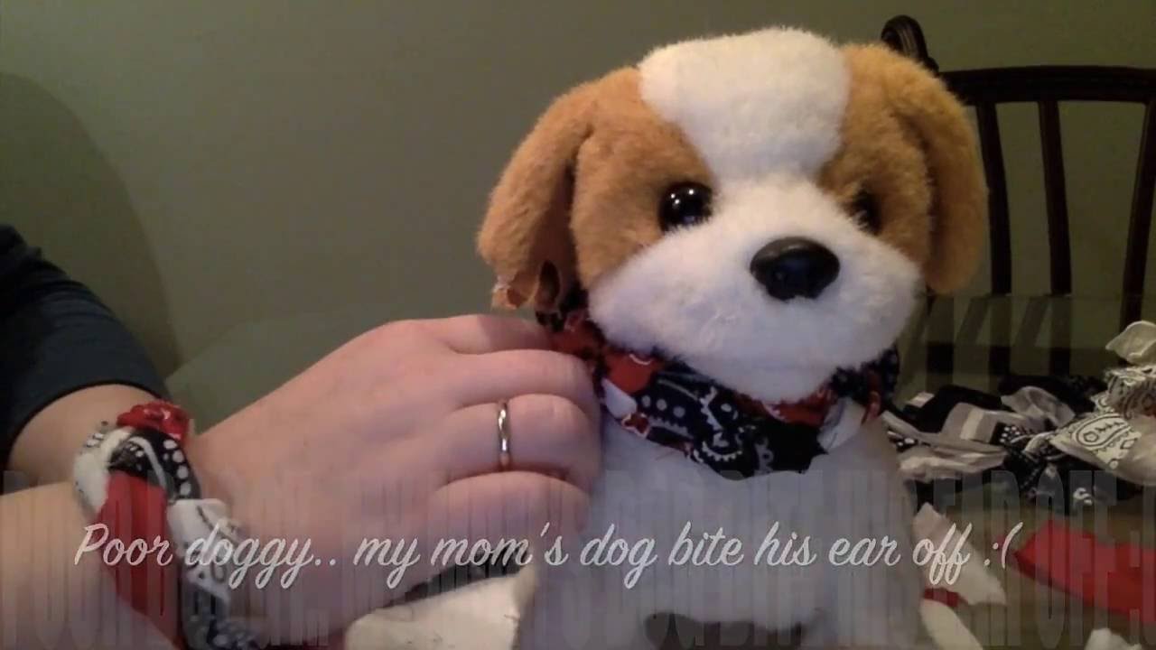 Memorial Day Dog Collar -EASY DIY- Attention all pet lovers!!!