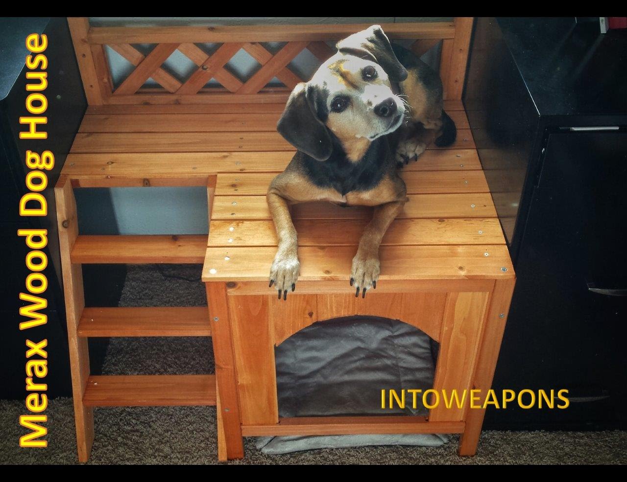 Merax Indoor/Outdoor Wood Dog House for Martini