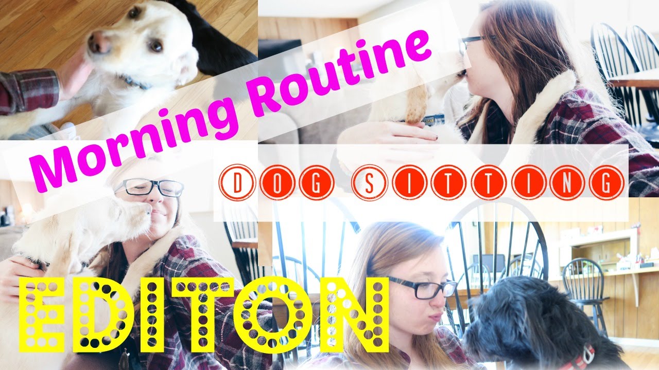 Morning Routine Dog House Edition!!!