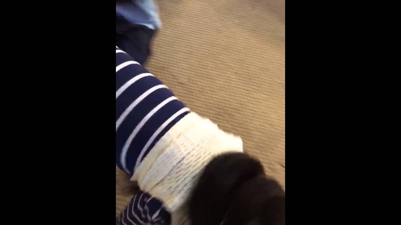 My Dog wearing clothes?