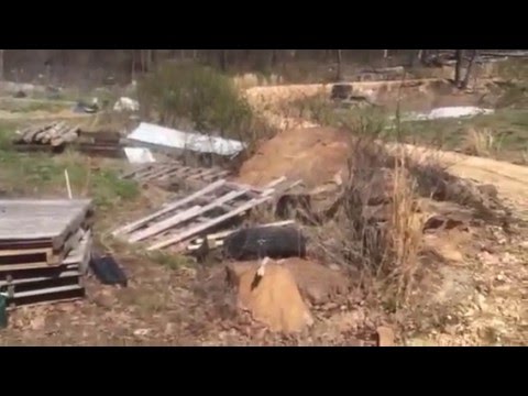 Off grid today’s project-doghouse to chicken coop