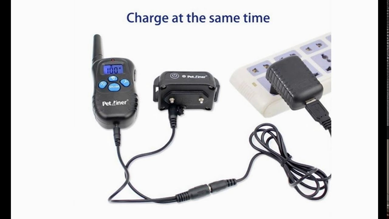 Petrainer PET998DBB 330 Yards Remote Dog Training E-collar Review