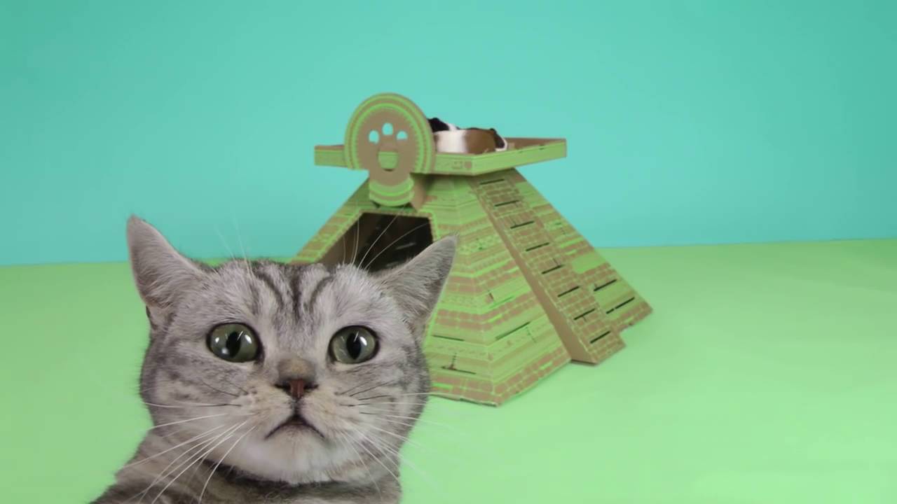 Poopy Cat – play houses for cats, dogs & small pets