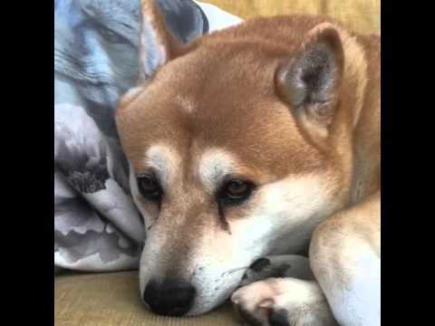 Side Eye