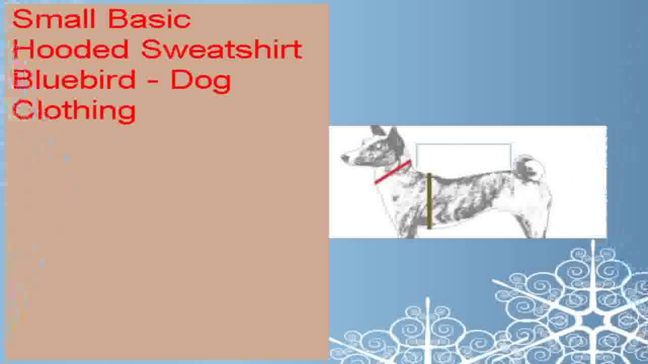 Small Basic Hooded Sweatshirt Bluebird  Dog Clothing