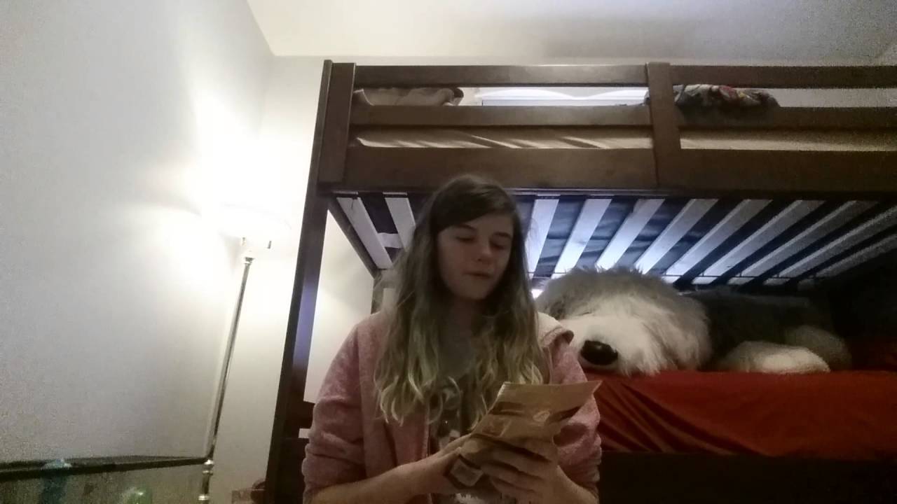 Small dog and gerbil haul