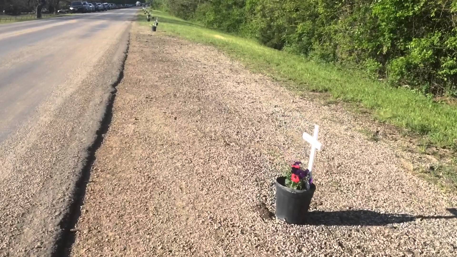 The Dogs of Dowdy Ferry Road (Memorial Video)
