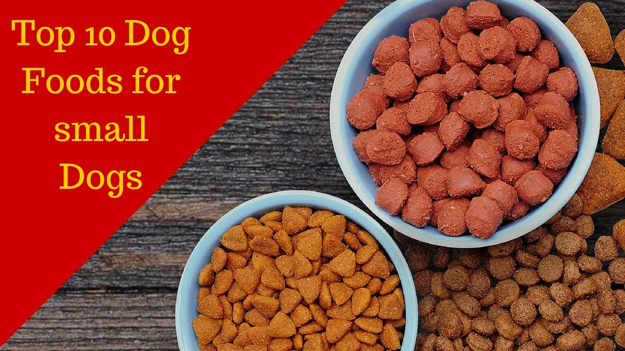 top 10 dog foods for small dogs-top 10 dog foods for small dogs