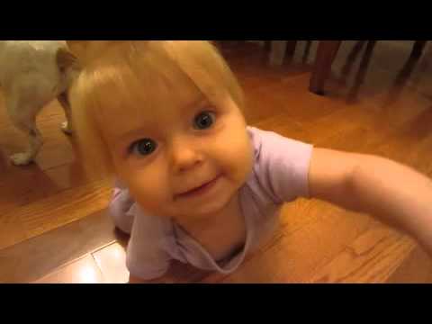 Two small dogs knock baby girl over onto floor