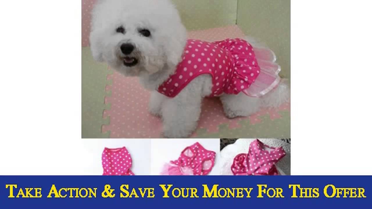 Urparcel Dog Cat Dot Lace Skirt Pet Clothes Dog Tutu Dress Puppy Party Deal