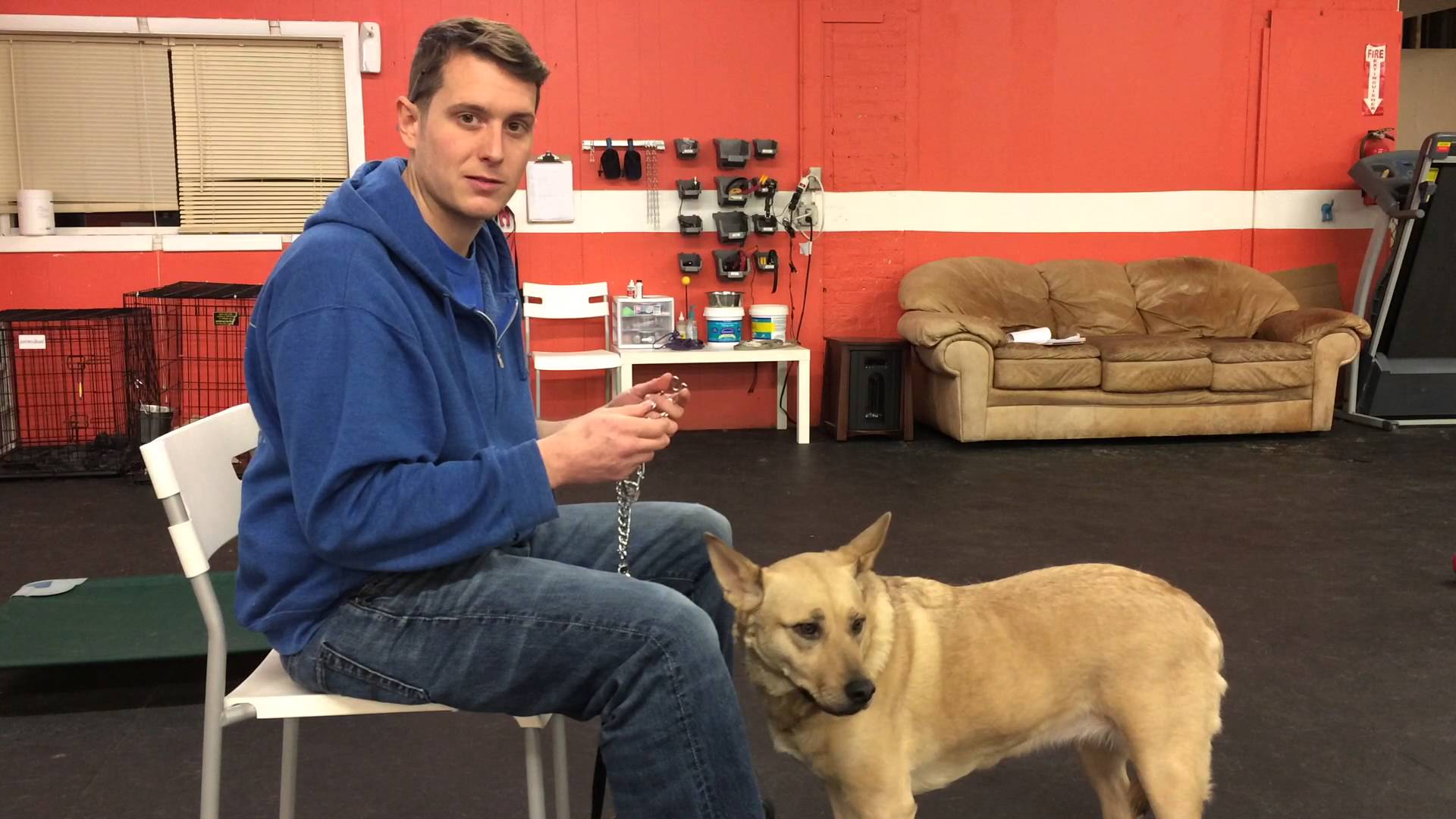 using markers for a collar sensitive dog