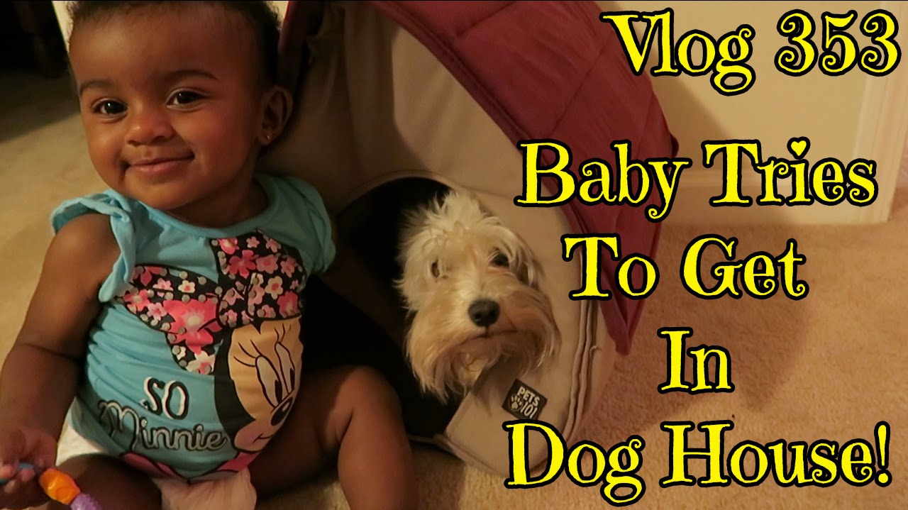 Vlog 353: Baby Tries To Get In Dog House!
