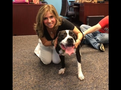 WDHA’s Rock N’ Ruff with Tosh