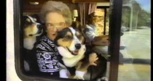 1994 Iams Dog Food Commercial