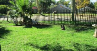 3 Bedroom House For Sale in Elandsrand, Brits 0250, South Africa for ZAR 650,000…