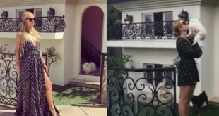 ปารีส ฮิลตัน กับ “บ้านน้องหมา” สุดเลิศหรูอลังการ ที่ Beverly hills (Paris Hilton  dog house)
