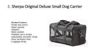 5 Best Dog Carriers for Small Dogs
