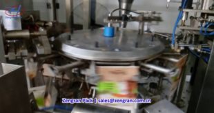 500g Dog Food Automatic Packing Line – Zengran Packaging
