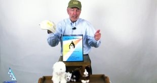 A Cat in the Doghouse Book Launch (2016)