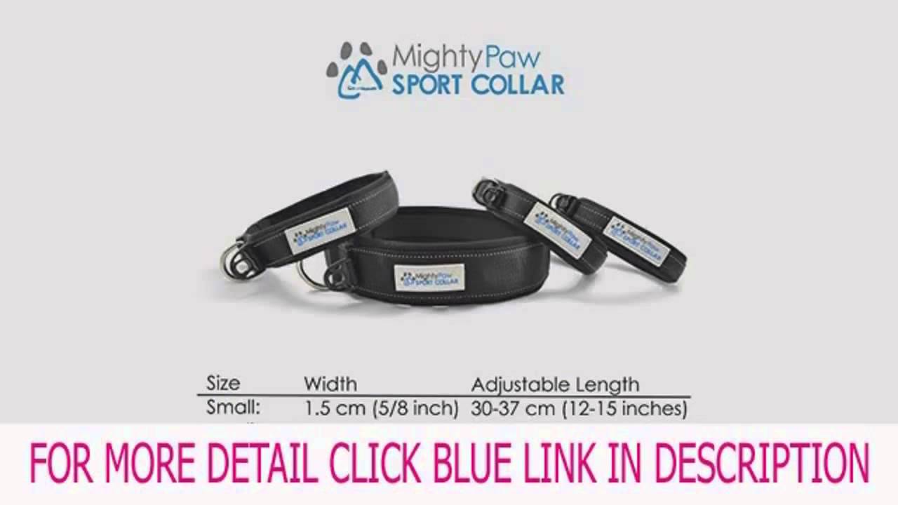 Amazoncom Running Dog Collar Mighty Paw Neoprene Padded Dog Collar Premium Quality Sports Collar wit