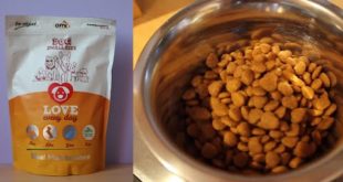 AMI DOG mini – Vegan Dog Food / Vegane Hundenahrung