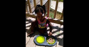 Ani eat dog food