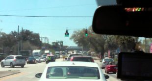 Another Dog House Traffic Light