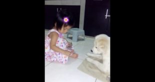 Arthuriza give dog food to Lolo