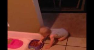 BABY | Baby Grab Dog Food And Run