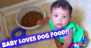 BABY LOVES DOG FOOD!
