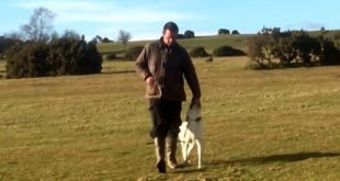 Balanced dog training? Will an e-collar hurt my dog? effective real dog training