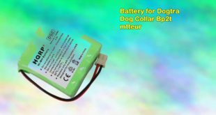 Battery for Dogtra Dog Collar Bp2t mtteur