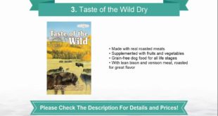 Best Dog Food   TOP 10 Dry Dog Foods