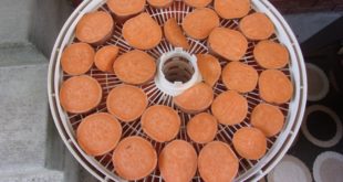 Best Dog Treats Sweet Potatoes #1 in Series “Going to the Dogs”