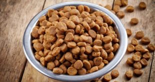 Best Dry Dog Food For Puppies | Rated Dry Dog Food