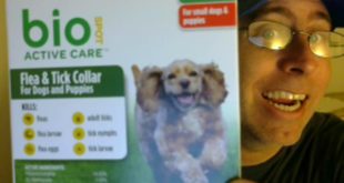 Best Flea & Tick Collar for Dogs