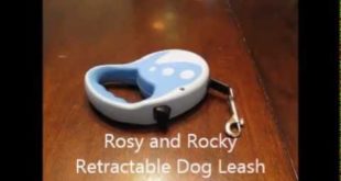 Best Retractable Dog Leash For Small Dogs Amazon Top Reviewer