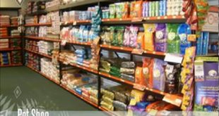 Best Shop For Dog Food in Delhi