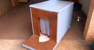 Beste Pallet Dog House DIY