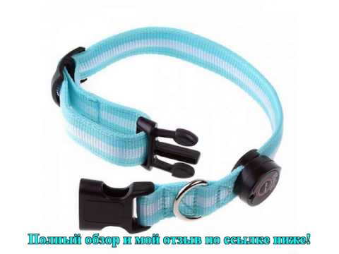Ошейник светодиодный Bradex LED Dog Collar M