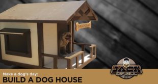 Build a Dog House