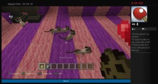 Build a dog triple house