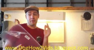 Build a Modern Dog House |Dog How2 Vids|