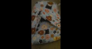 Burrowing Bed for Small Dogs DIY