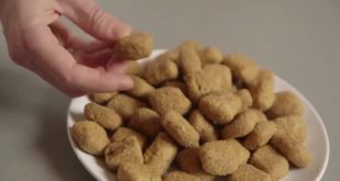 Canned Food Dry Food Fresh – Petfooddoctor